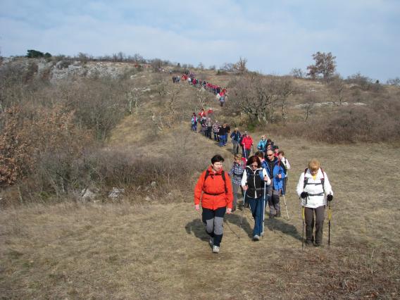 dolga kolona se je vila po stezici Kraškega roba