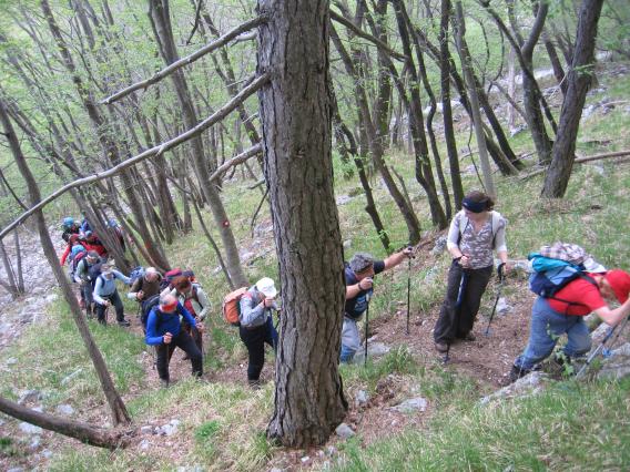 po strmi skalni poti smo hitro pridobivali na višini