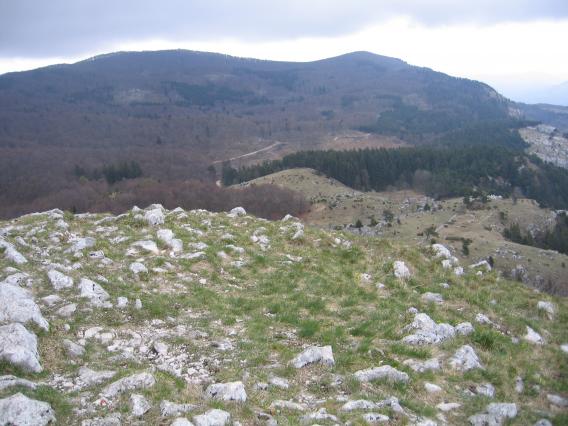 pogled proti delu Trnovskega gozda