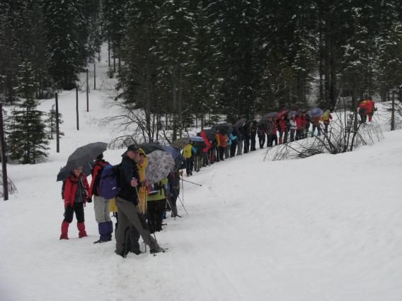 in nazaj proti Planici