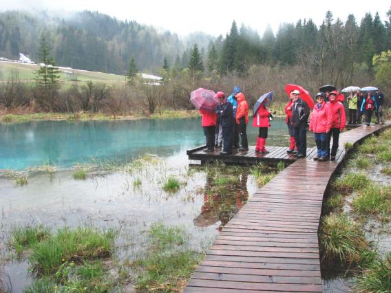Zelenci, kjer izvira Sava Dolinka