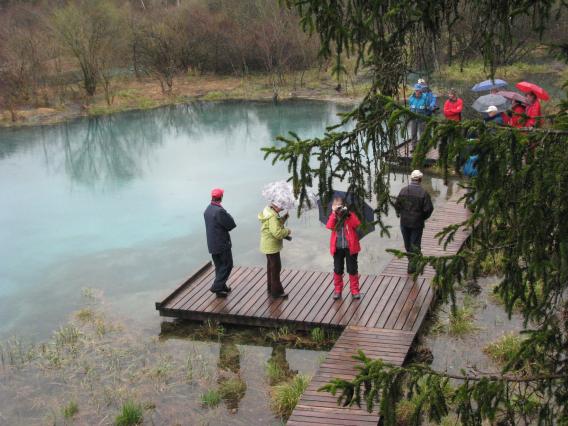 talna voda vre na površje v obliki 