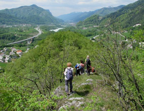 nazaj proti Žirovnici