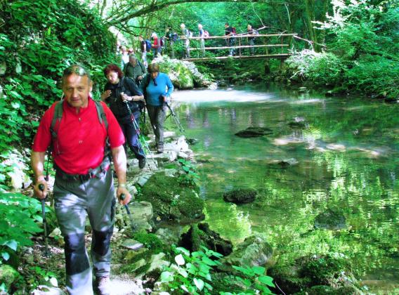 v izviru Zijalo pride dolenjska ponikalnica ponovno na plano 