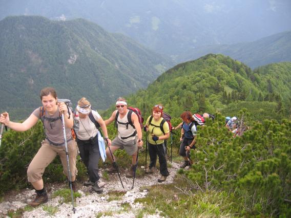 skozi ruševje proti vrhu Cjanovce