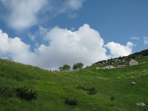 prvi so že na planini Kal