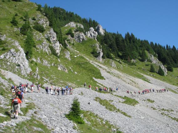čez melišče proti vrhu Ojstrnika