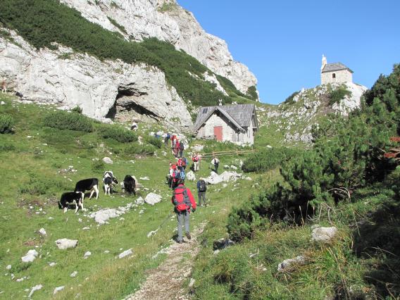 Molička planina
