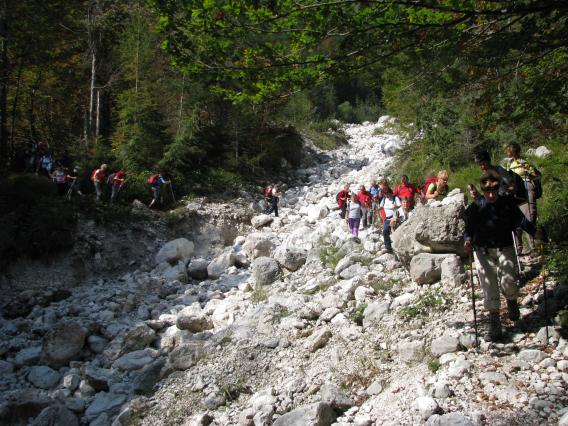 preko hudourniške grape se je vila dolga kolona vztrajnih planincev