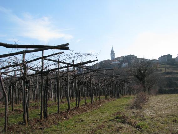 pogled na Pliskovico