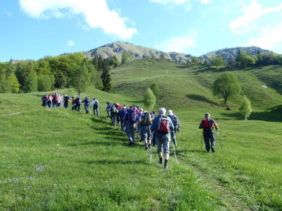 čez Ravne senožeti lepemu dnevu naproti