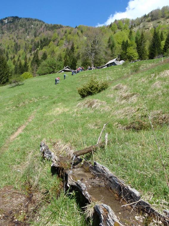 studenec tik pod planino Osredek