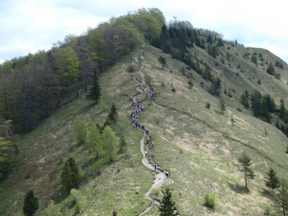uhojena pot dokazuje, da je Kamniški vrh pogosto obiskana gora