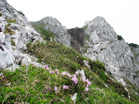 prvi so že pri koči