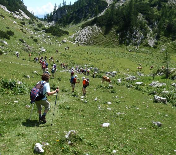 na planini Jezerce je manjše presihajoče jezerce, le nekaj metrov nad mlako pa je tudi studenček