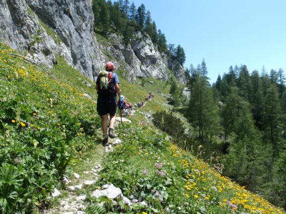 med cvetočo lepoto pa nazaj proti izhodišču
