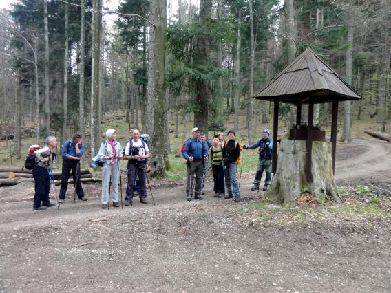 panj debele jelke nad kočo, ki ima že od nekdaj status stebra za smerokaze