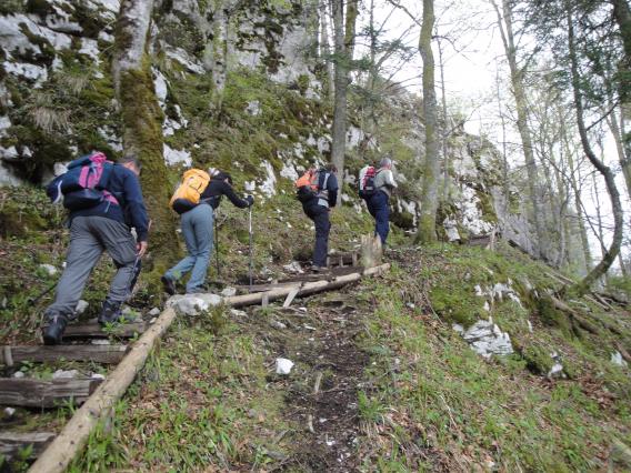 vzpon na grad Fridrihštajn