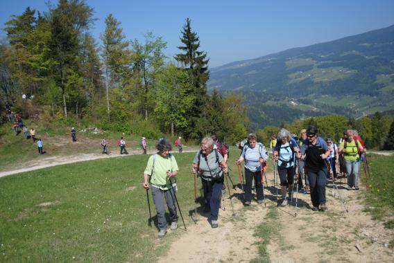 startali smo iz središča Vitanja