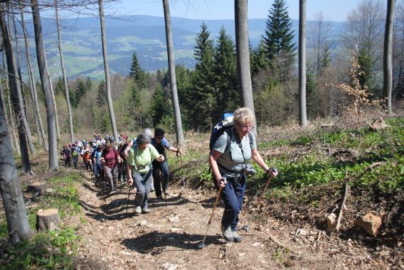celotno območje današnjega Vitanja obsega predvsem hribovito pokrajino na obronkih zahodnega dela Pohorja in podaljška Karavank