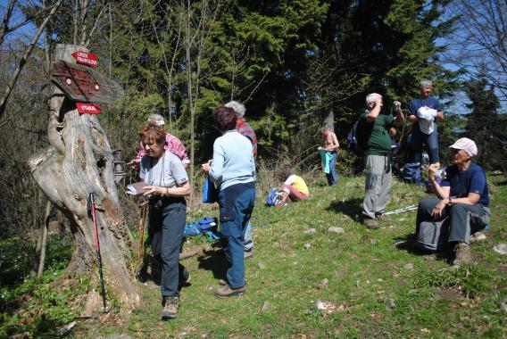 Stenica je najvišji vrh planote Mala gora, ki je ujeta med rekama Tesnico in Hudinjo