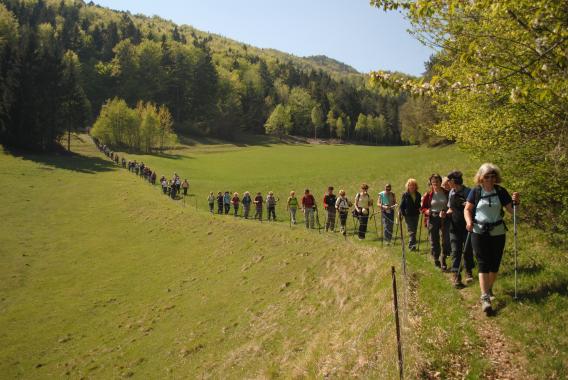 v zelenju pomladnega dne
