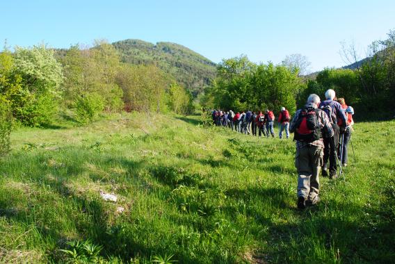 ogreli smo se na ravnini polja