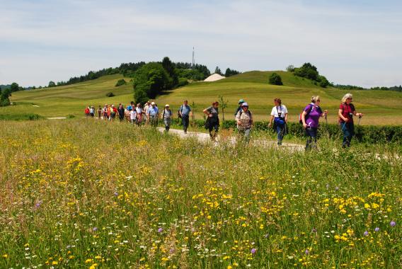 za nami ostaja Sekirica