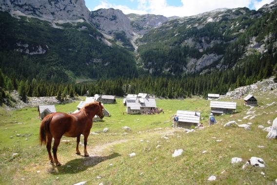 pod nami pa planina v Lazu