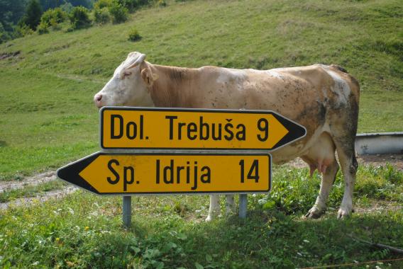 levo ali desno...?