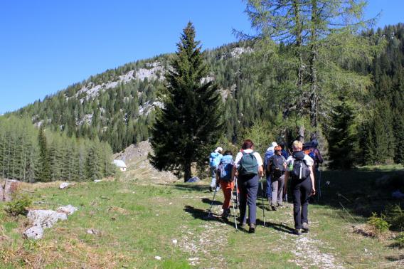 Planina v Plazeh, polovica vzpona je za nami