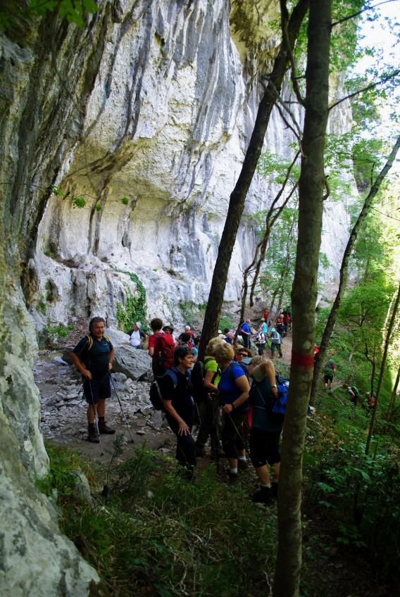 plezališče nad strugo rečice Drage