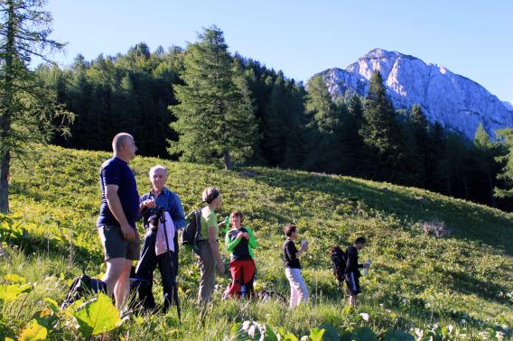 Jenkova planina, v ozadju Baba