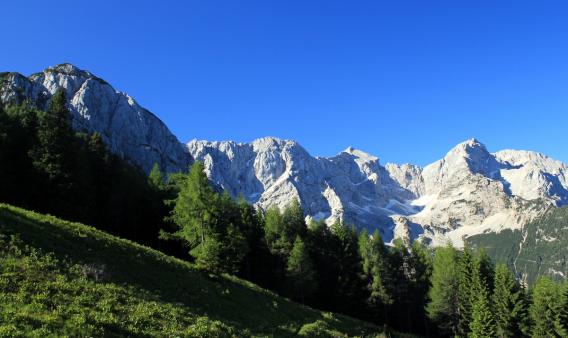 v ozadju Kočna, Grintavec, Dolgi hrbet