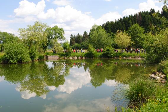 mimo Lokve pod 545 m visoko Sekirico