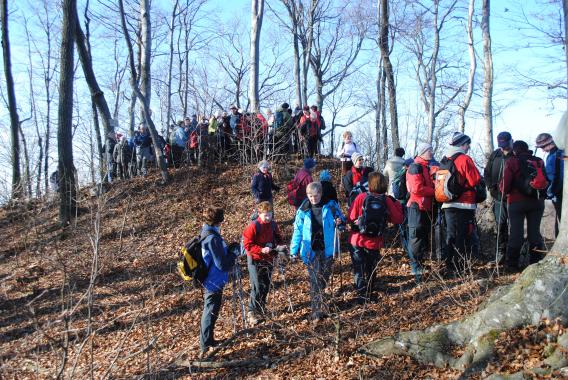 ob obeležju slovenskemu tolarju