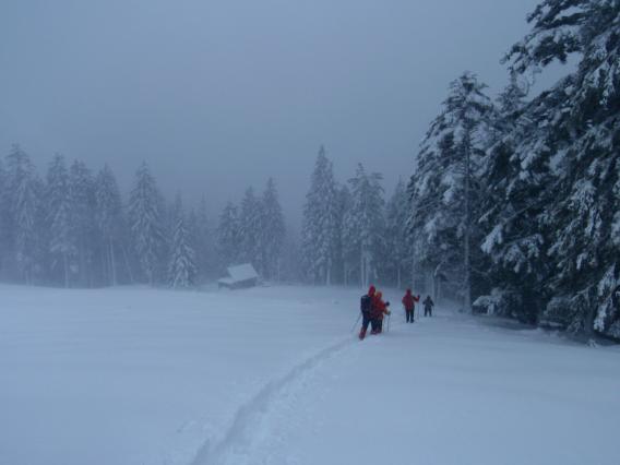 zaradi povečane nevarnosti snežnih plazov smo sestopili v smeri Žirovnice