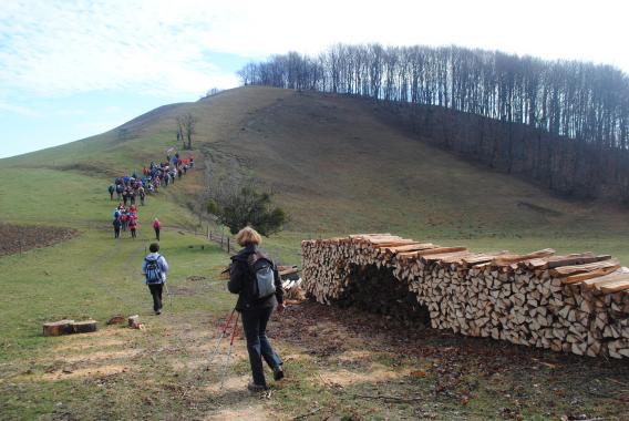 vzpon do razgledišča, od koder smo imeli čudovit razgled