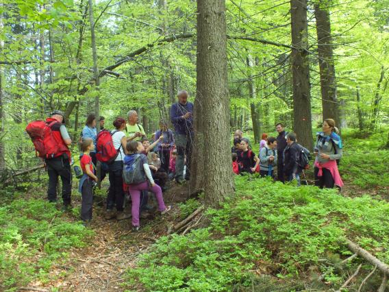 Dane in Ciril sta nam predstavila delo markacistov