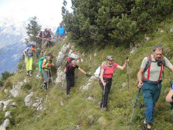 prečenje pobočja na delih poti, kjer je greben zasedlo borovje