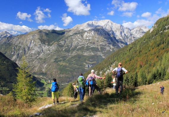 pogled iz planine Za Skalo proti Bavškemu Grintovcu in v dolino Trente