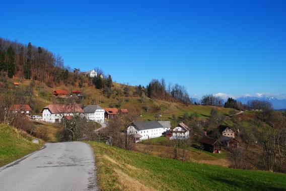skozi filmsko vasico Mlaka
