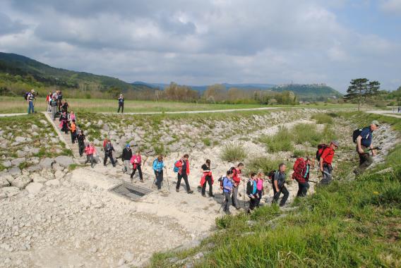 prečenje struge Mirne