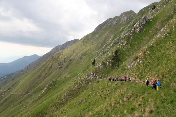 sestop v Viskoršo po udobni mulatieri