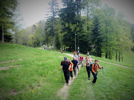 tik pod vrhom Slemena