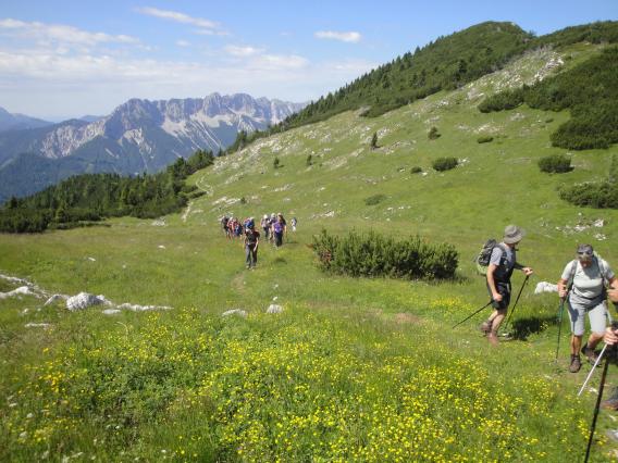 vrhnji, južni del pobočja, s travo poraslega Obirja