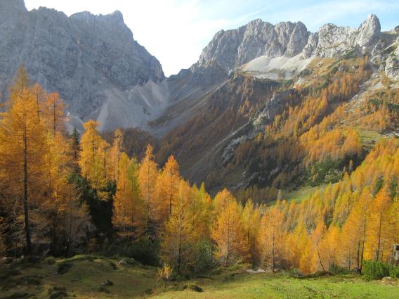 pogled proti Bohinjskim vratcam in Vernerju z jesensko kuliso
