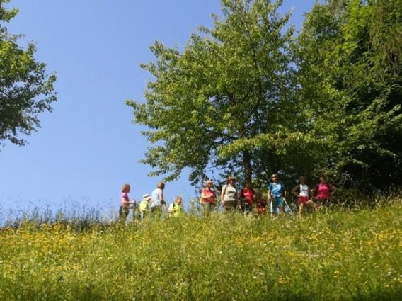 Na poti proti vrhu Planice - kukavičevke na travniku